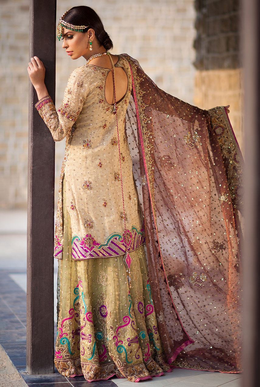 Latest Pakistani Bridal Wear in Stylish Look