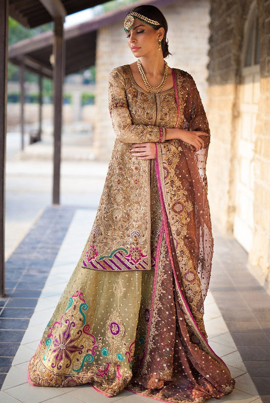 Latest Pakistani Bridal Wear in Stylish Look